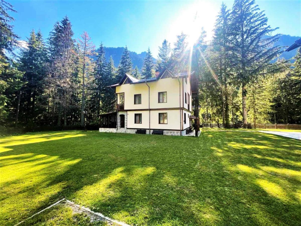 Комплекс Орлово гнездо Бели-Искыр Экстерьер фото
